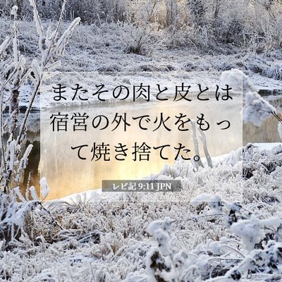 レビ記 9:11 聖書の一節の解説