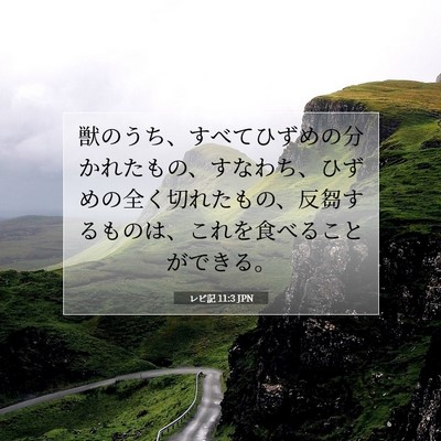 レビ記 11:3 聖書の一節の解説