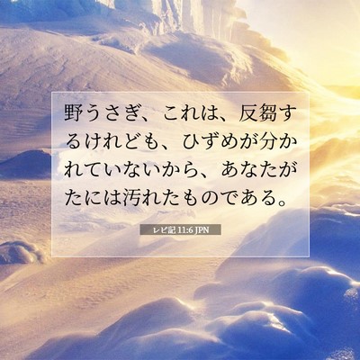 レビ記 11:6 聖書の一節の解説
