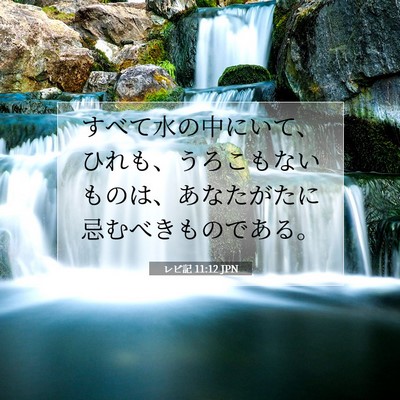 レビ記 11:12 聖書の一節の解説