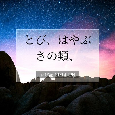 レビ記 11:14 聖書の一節の解説
