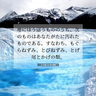 レビ記 11:29 聖書の一節の解説