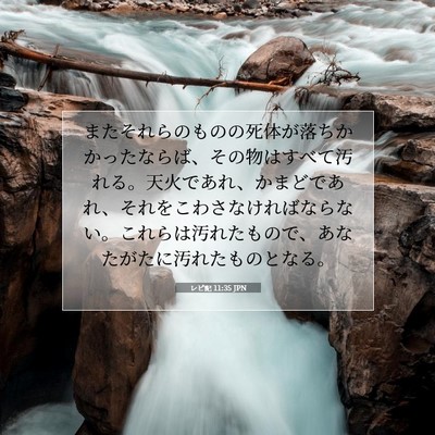 レビ記 11:35 聖書の一節の解説