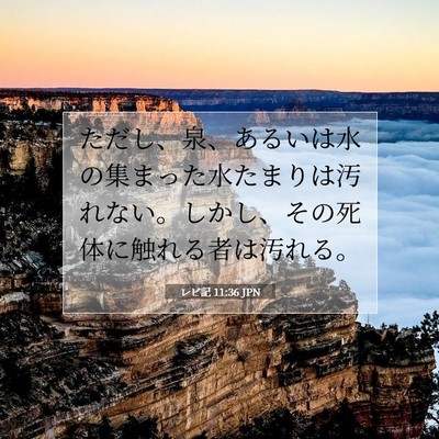 レビ記 11:36 聖書の一節の解説
