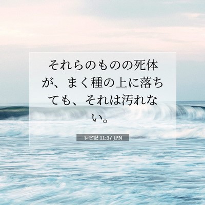 レビ記 11:37 聖書の一節の解説