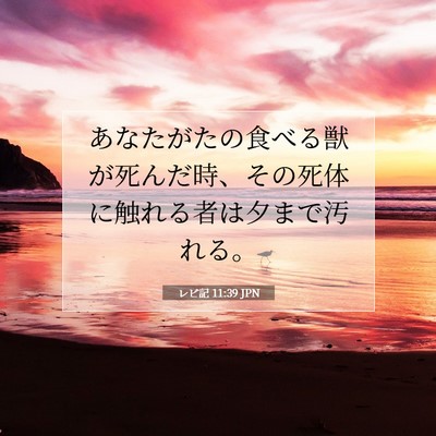 レビ記 11:39 聖書の一節の解説
