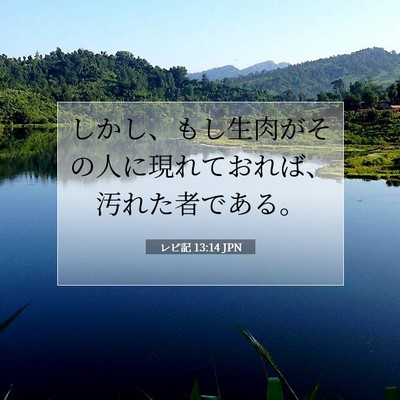 レビ記 13:14 聖書の一節の解説