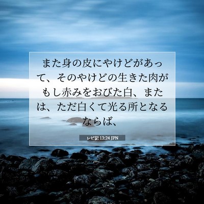 レビ記 13:24 聖書の一節の解説