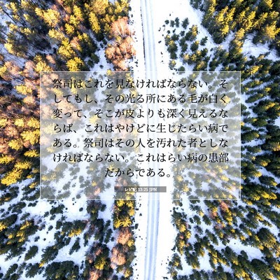 レビ記 13:25 聖書の一節の解説