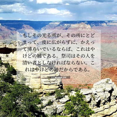 レビ記 13:28 聖書の一節の解説