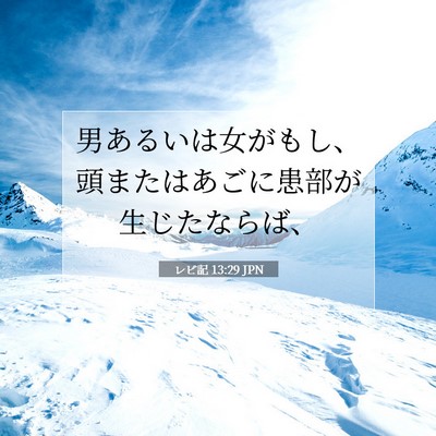 レビ記 13:29 聖書の一節の解説