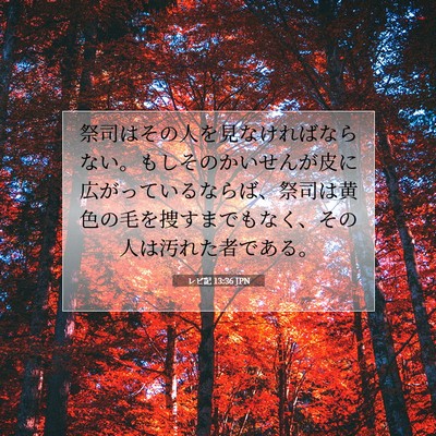 レビ記 13:36 聖書の一節の解説