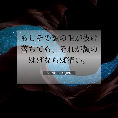 レビ記 13:41 聖書の一節の解説