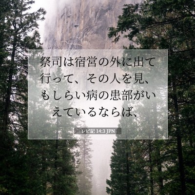 レビ記 14:3 聖書の一節の解説
