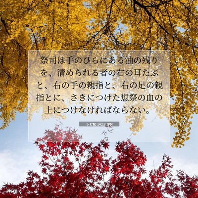 レビ記 14:17 聖書の一節の解説