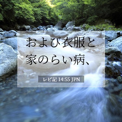 レビ記 14:55 聖書の一節の解説