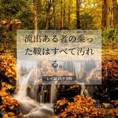 レビ記 15:9 聖書の一節の解説