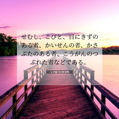 レビ記 21:20 聖書の一節の解説