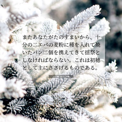 レビ記 23:17 聖書の一節の解説