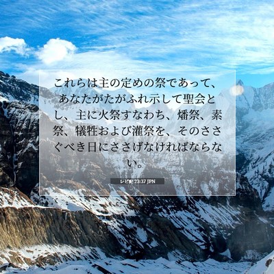 レビ記 23:37 聖書の一節の解説