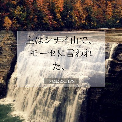 レビ記 25:1 聖書の一節の解説