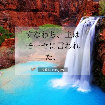 民数記 1:48 聖書の一節の解説