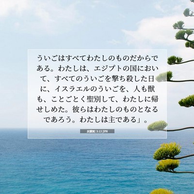 民数記 3:13 聖書の一節の解説
