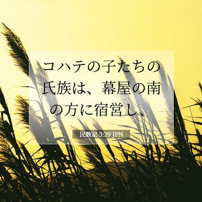 民数記 3:29 聖書の一節の解説