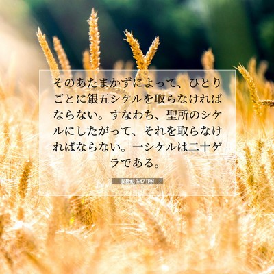 民数記 3:47 聖書の一節の解説