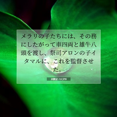 民数記 7:8 聖書の一節の解説