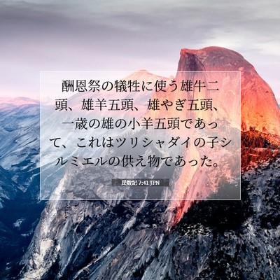 民数記 7:41 聖書の一節の解説