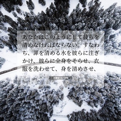 民数記 8:7 聖書の一節の解説