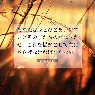 民数記 8:13 聖書の一節の解説