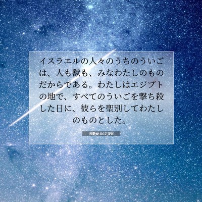 民数記 8:17 聖書の一節の解説