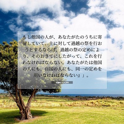 民数記 9:14 聖書の一節の解説