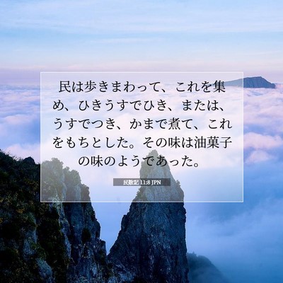 民数記 11:8 聖書の一節の解説