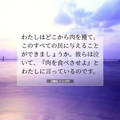 民数記 11:13 聖書の一節の解説