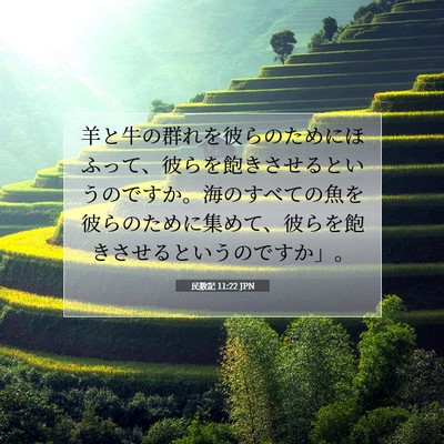民数記 11:22 聖書の一節の解説