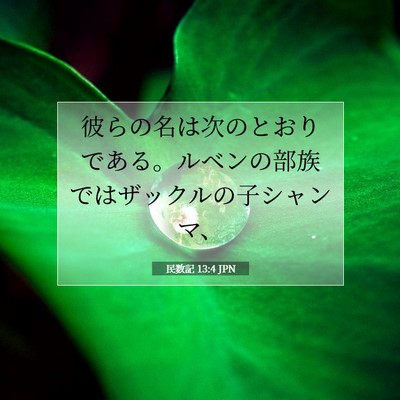 民数記 13:4 聖書の一節の解説