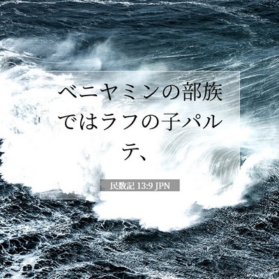 民数記 13:9 聖書の一節の解説