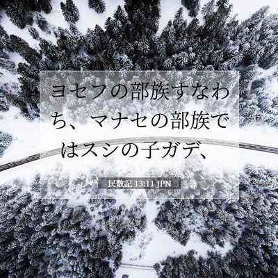 民数記 13:11 聖書の一節の解説