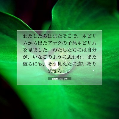 民数記 13:33 聖書の一節の解説