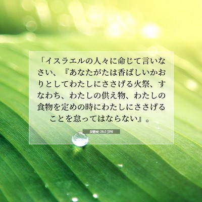 民数記 28:2 聖書の一節の解説
