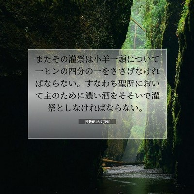 民数記 28:7 聖書の一節の解説