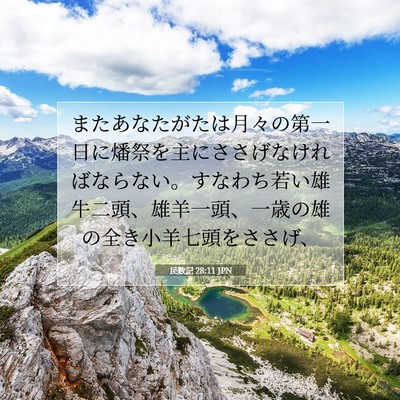 民数記 28:11 聖書の一節の解説