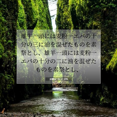 民数記 28:12 聖書の一節の解説