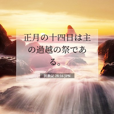 民数記 28:16 聖書の一節の解説