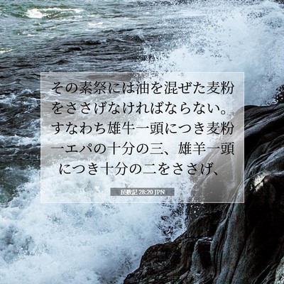 民数記 28:20 聖書の一節の解説