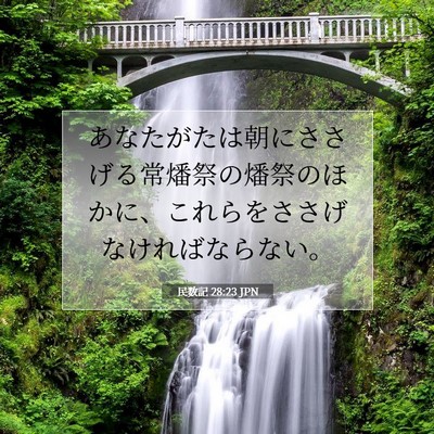 民数記 28:23 聖書の一節の解説
