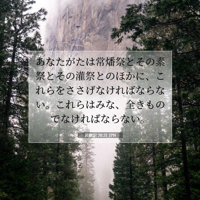 民数記 28:31 聖書の一節の解説